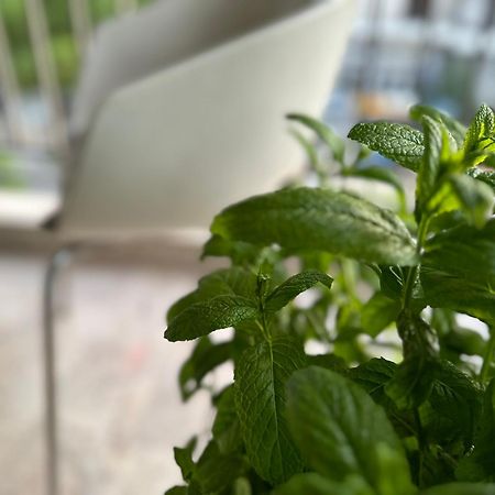 Bright Studio 4 A Short Stay Near Oaka - Iaso - Ygeia - Mitera Hospitals Αθήνα Εξωτερικό φωτογραφία